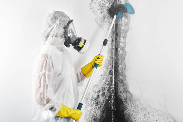 Best Comprehensive Air Testing for Mold Contaminants  in Monona, WI