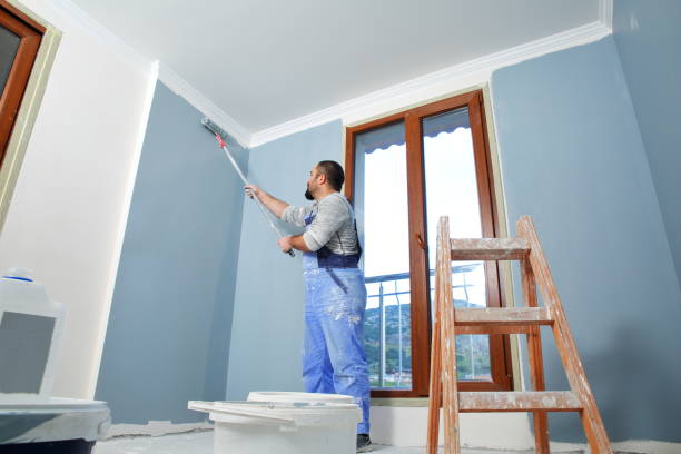 Best Forensic Mold Investigation  in Monona, WI