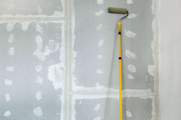 Best Mold-Related Health Consultation  in Monona, WI