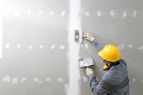 Best Commercial Mold Inspection  in Monona, WI