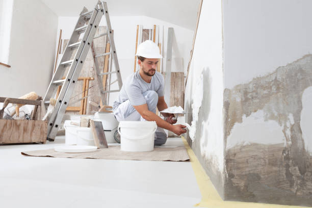 Best Emergency Mold Remediation  in Monona, WI