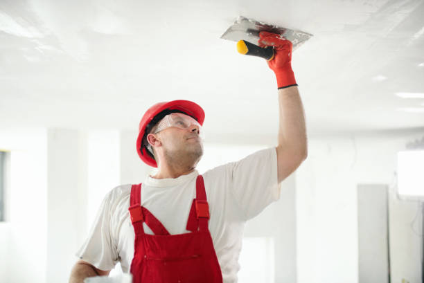 Best Basement Mold Removal  in Monona, WI