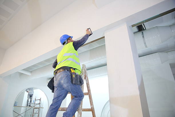 Best Environmental Consulting for Mold Prevention  in Monona, WI
