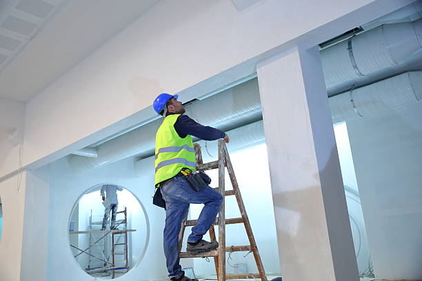 Trusted Monona, WI Mold Removal Experts